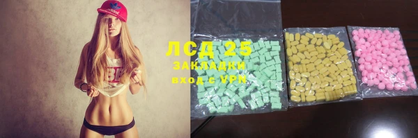 прущие грибы Алзамай