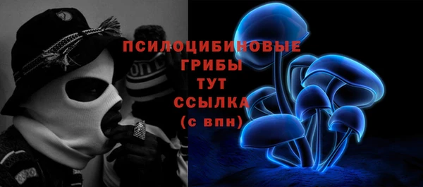 spice Алексин