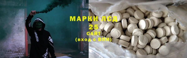 прущие грибы Алзамай