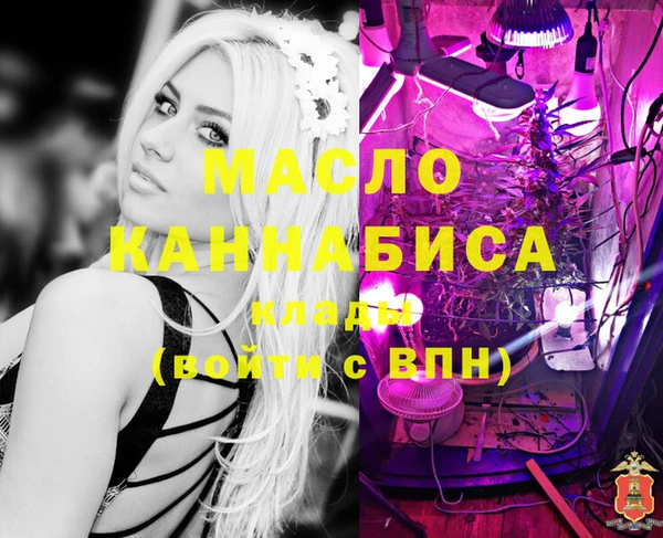 дмт Алексеевка