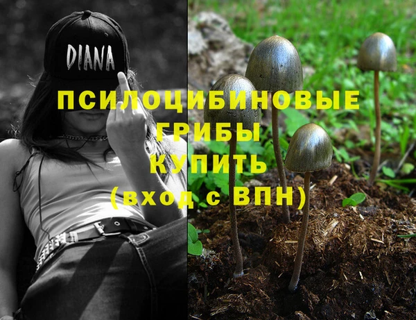 spice Алексин