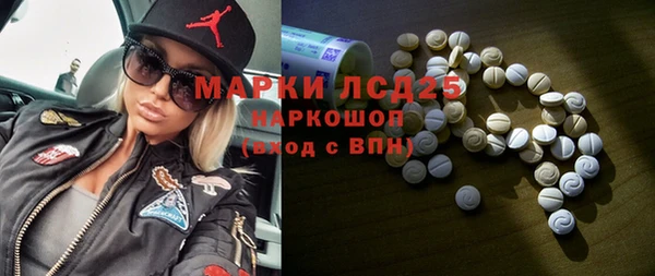 прущие грибы Алзамай